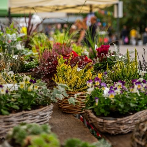 Marché Paysan - GROS RÉDERCHING - 22 septembre 2024