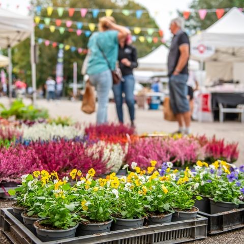 Marché Paysan - GROS RÉDERCHING - 22 septembre 2024