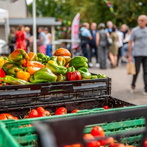 Marché Paysan - GROS RÉDERCHING - 22 septembre 2024