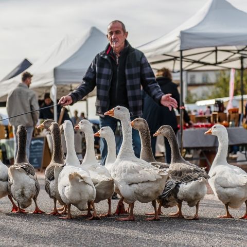 Marché Paysan - LEMBERG - 13 octobre 2024