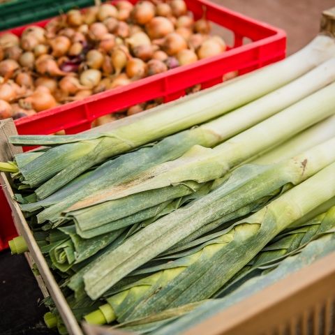 Marché Paysan - LEMBERG - 13 octobre 2024