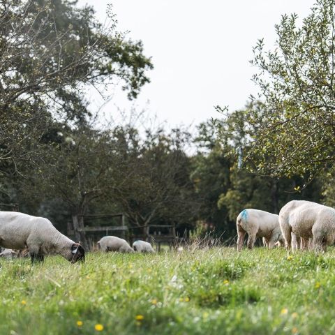 La Tournée des Fermes - 29 septembre 2024