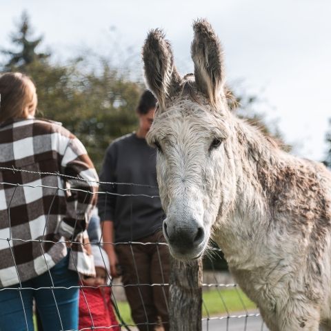 La Tournée des Fermes - 29 septembre 2024