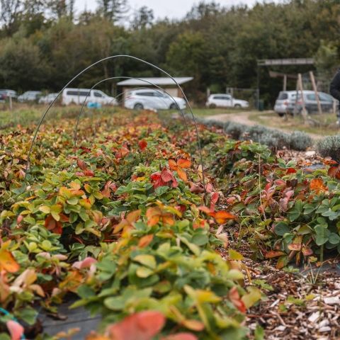 La Tournée des Fermes - 29 septembre 2024