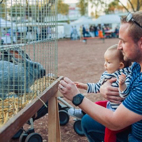 Marché Paysan - SARREGUEMINES - 15 octobre 2017