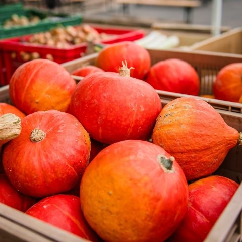 Marché Paysan - LEMBERG - 13 octobre 2024